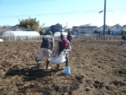 武蔵野農業ふれあい村 Website