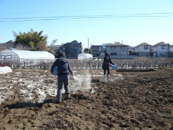 武蔵野農業ふれあい村 Website