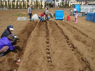 □武蔵野農業ふれあい村 Website□