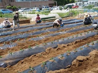 □武蔵野農業ふれあい村 Website□